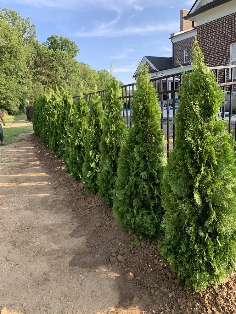 Custom lawn mowing service experts serving NOLENSVILLE, TN - Green Grow Nursery and Landscaping Services