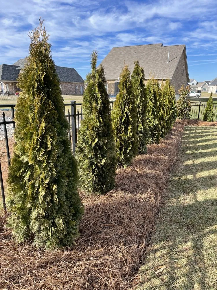 Local residential landscaping for beautiful yards in NOLENSVILLE, TN by Green Grow Nursery and Landscaping Services