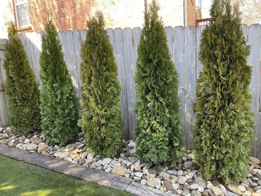 Local landscape installation in NOLENSVILLE, TN - Green Grow Nursery and Landscaping Services