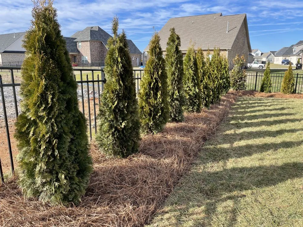 Custom residential landscaping for outdoor upgrades in NOLENSVILLE, TN by Green Grow Nursery and Landscaping Services