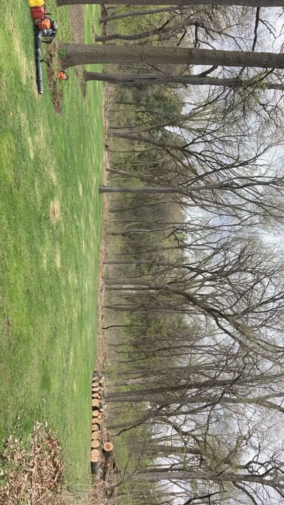 Affordable landscape design for year-round maintenance in Mundelein, IL by Green grows landscape