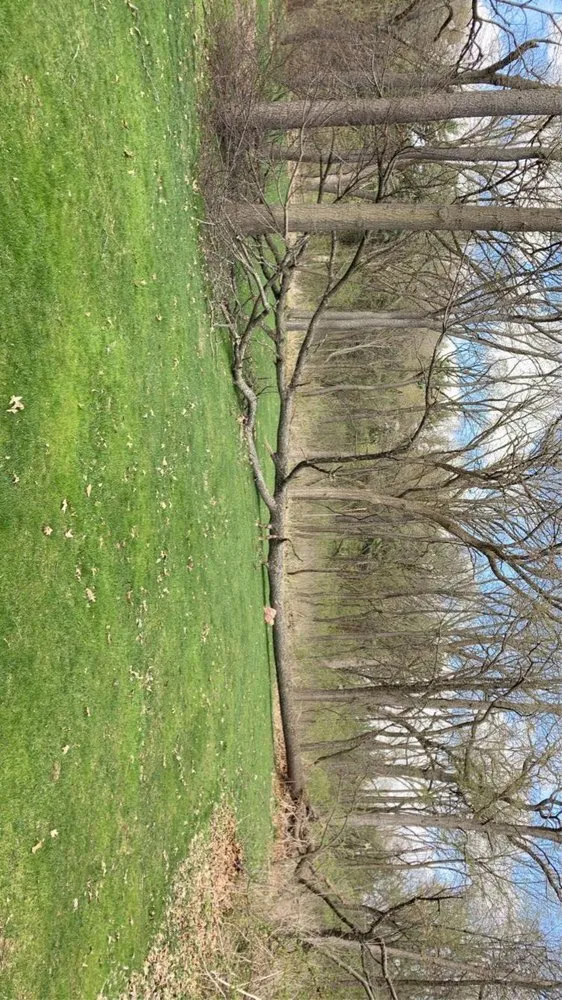 Affordable residential landscaping in Mundelein, IL - Green grows landscape