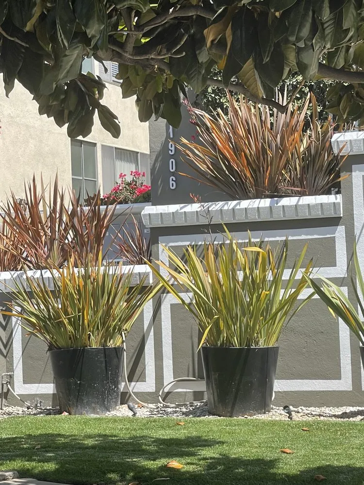 Affordable landscape installation for residential properties in Inglewood, CA by Green Grows Landscaping