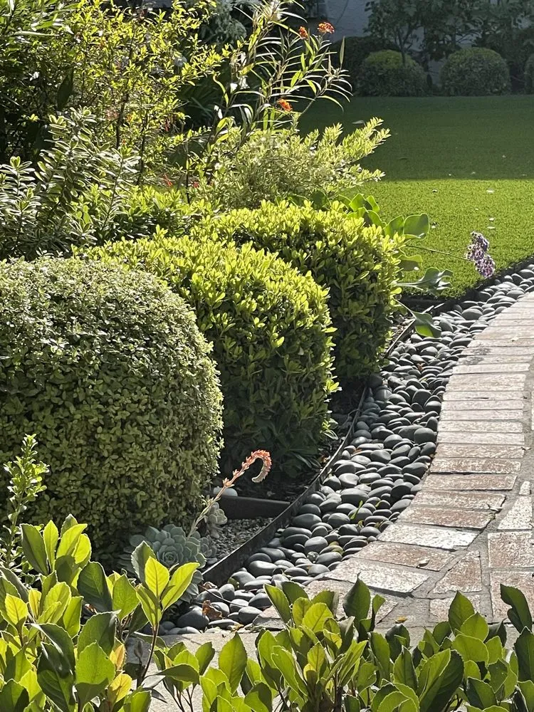 Top-rated garden landscaping experts serving Inglewood, CA - Green Grows Landscaping