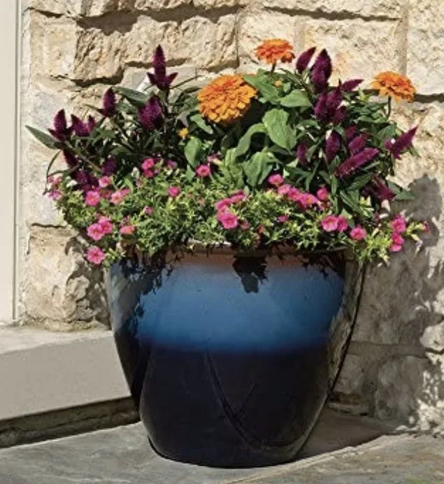 Local yard cleanup service for outdoor upgrades across Inglewood, CA - Green Grows Landscaping