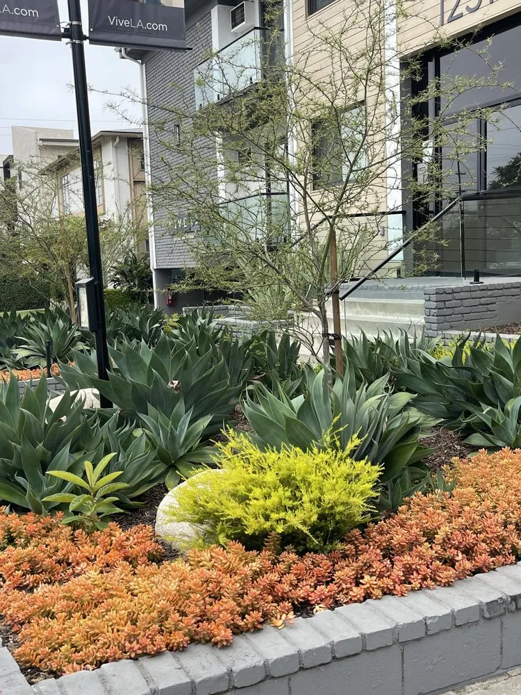 Custom outdoor landscaping experts serving Inglewood, CA - Green Grows Landscaping