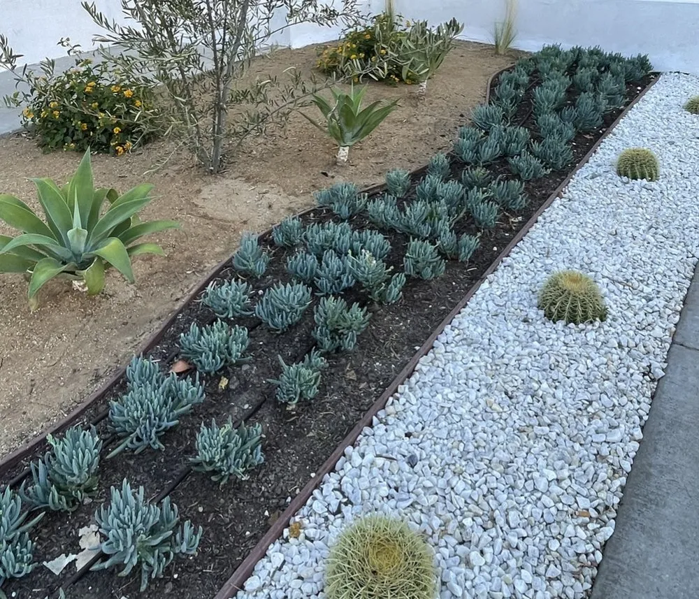 Reliable landscape design for beautiful yards across Inglewood, CA - Green Grows Landscaping