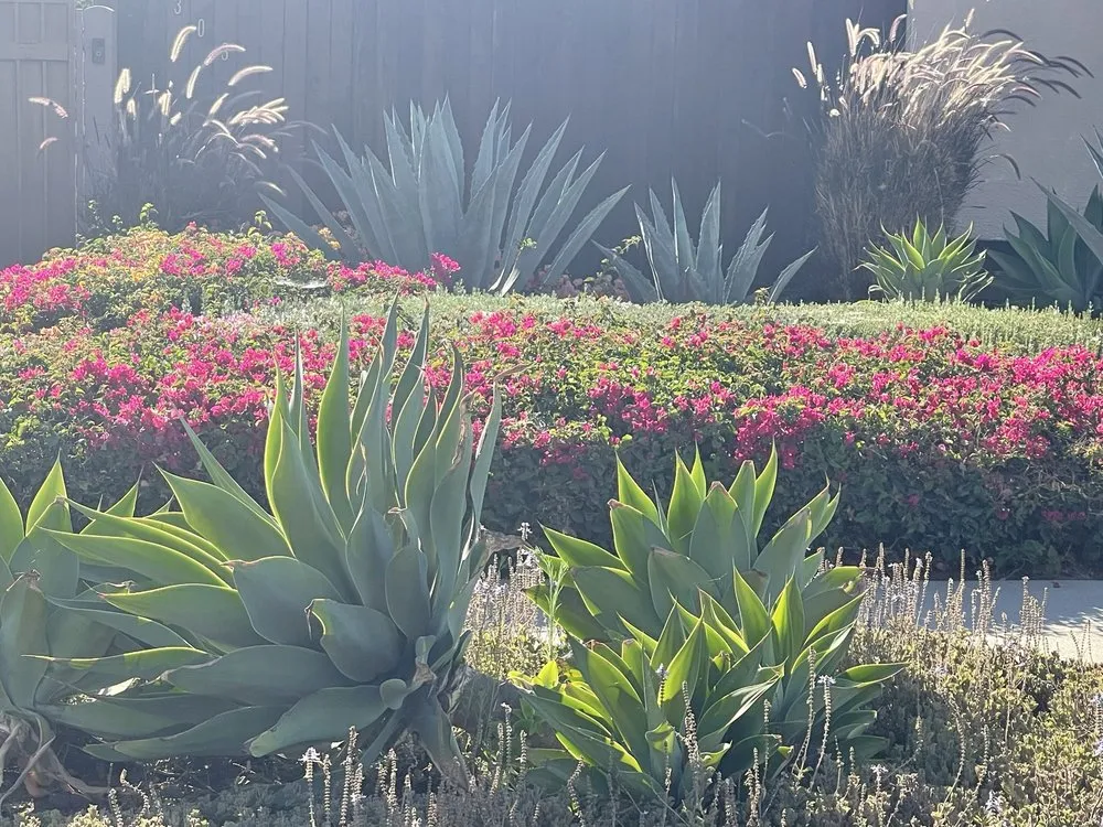 Custom lawn mowing service in Inglewood, CA - Green Grows Landscaping