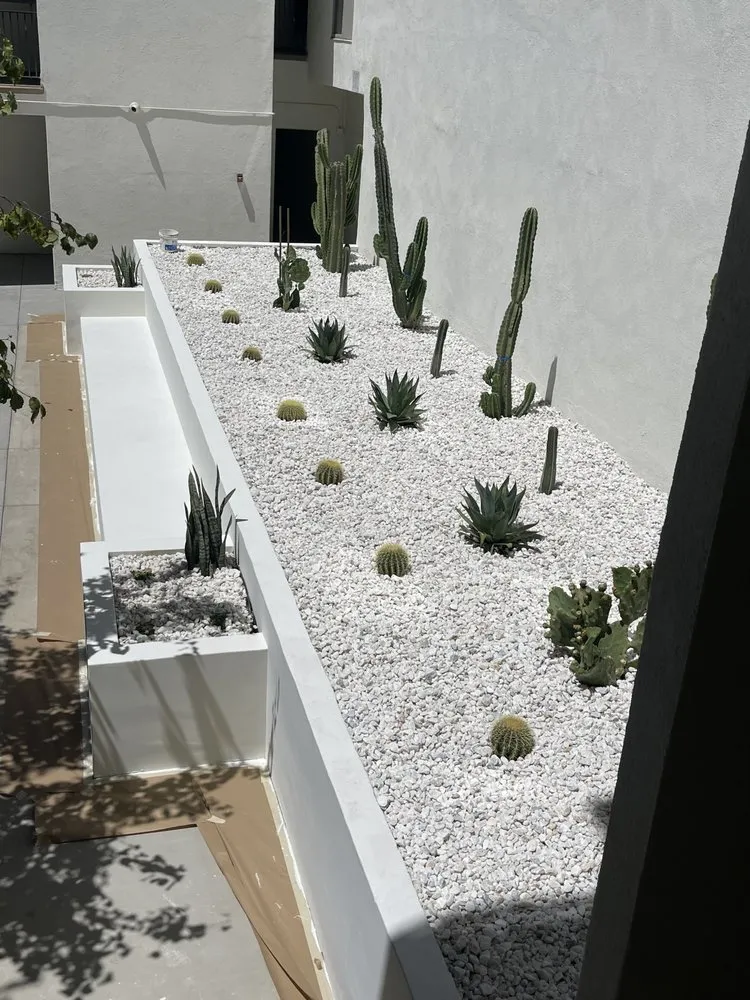 Custom landscape installation in Inglewood, CA by Green Grows Landscaping