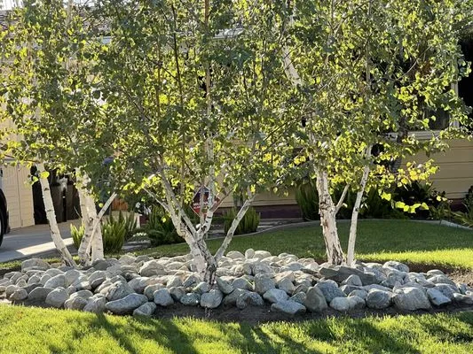 Green Grows Landscaping Logo