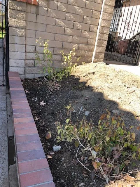 Expert garden landscaping near you across Rancho Cucamonga, CA - Green Guard Landscape Services