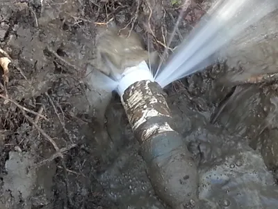 Top-rated landscape design in Rancho Cucamonga, CA by Green Guard Landscape Services