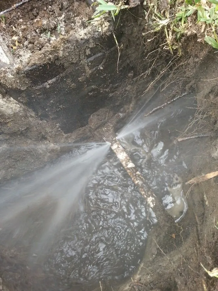 Reliable garden landscaping for residential properties in Rancho Cucamonga, CA by Green Guard Landscape Services