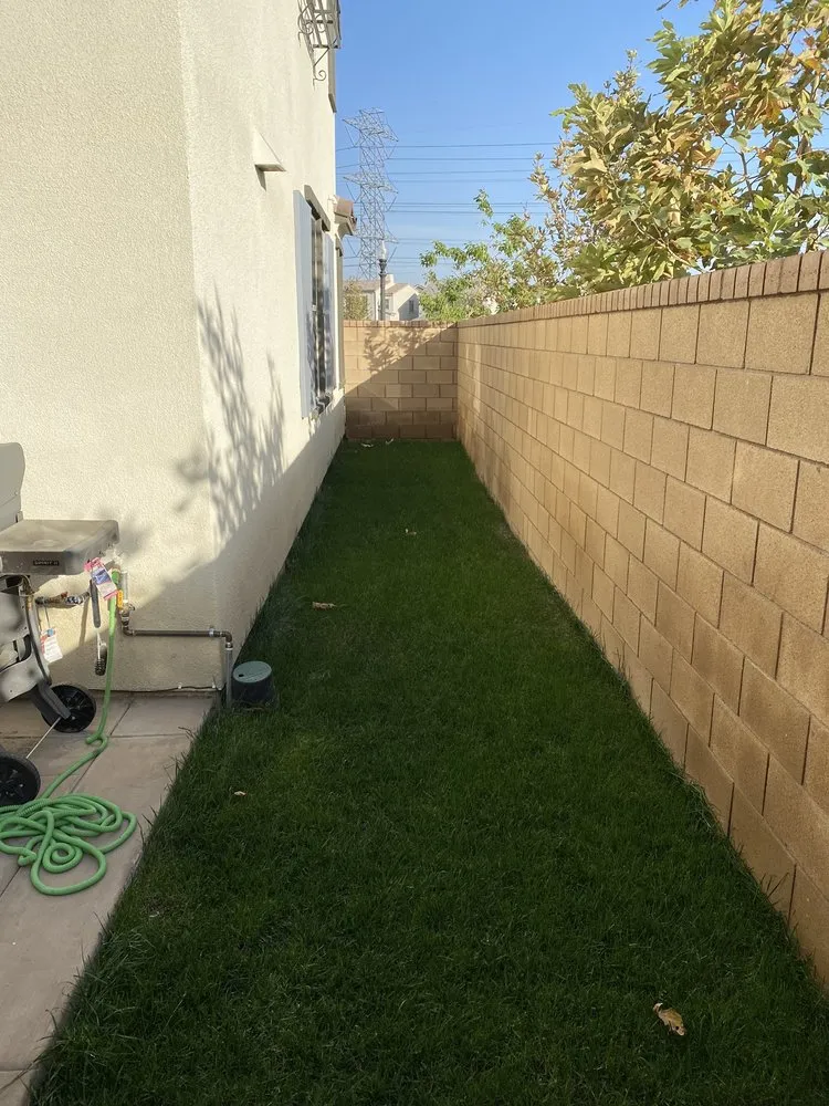 Local yard cleanup service in Rancho Cucamonga, CA by Green Guard Landscape Services