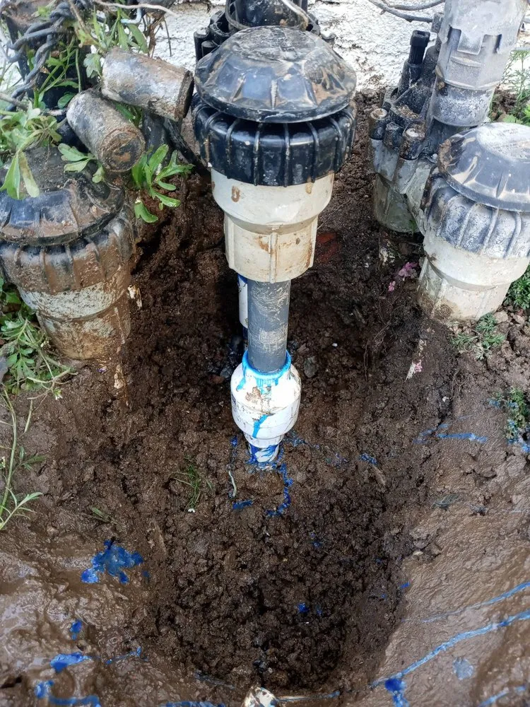 Expert outdoor landscaping in Rancho Cucamonga, CA by Green Guard Landscape Services