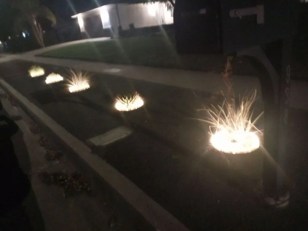 Top-rated lawn mowing service experts serving Rancho Cucamonga, CA - Green Guard Landscape Services