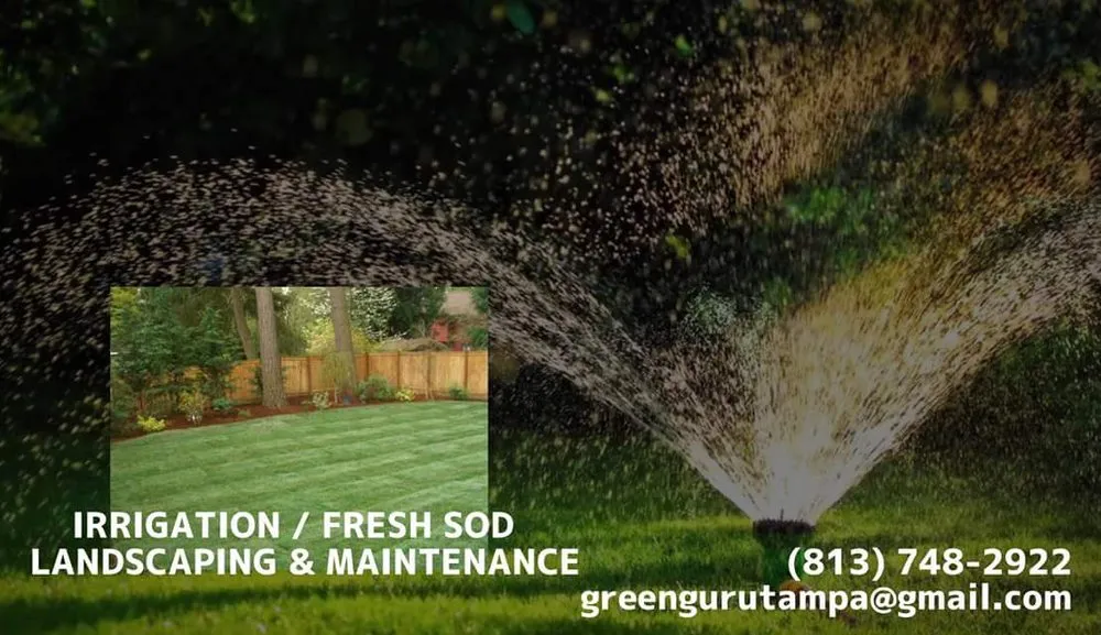 Affordable lawn mowing service in Land O Lakes, FL by Green Guru