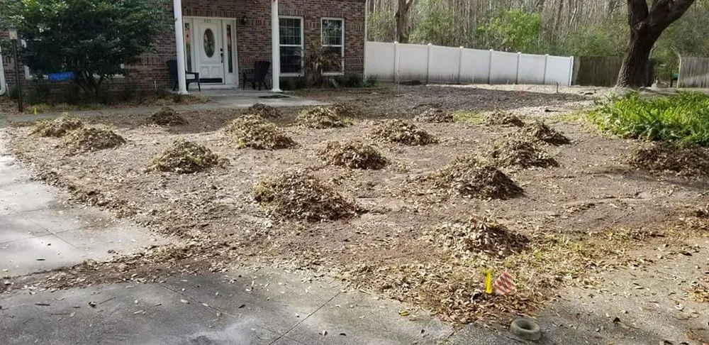 Local landscape installation near you across Land O Lakes, FL - Green Guru