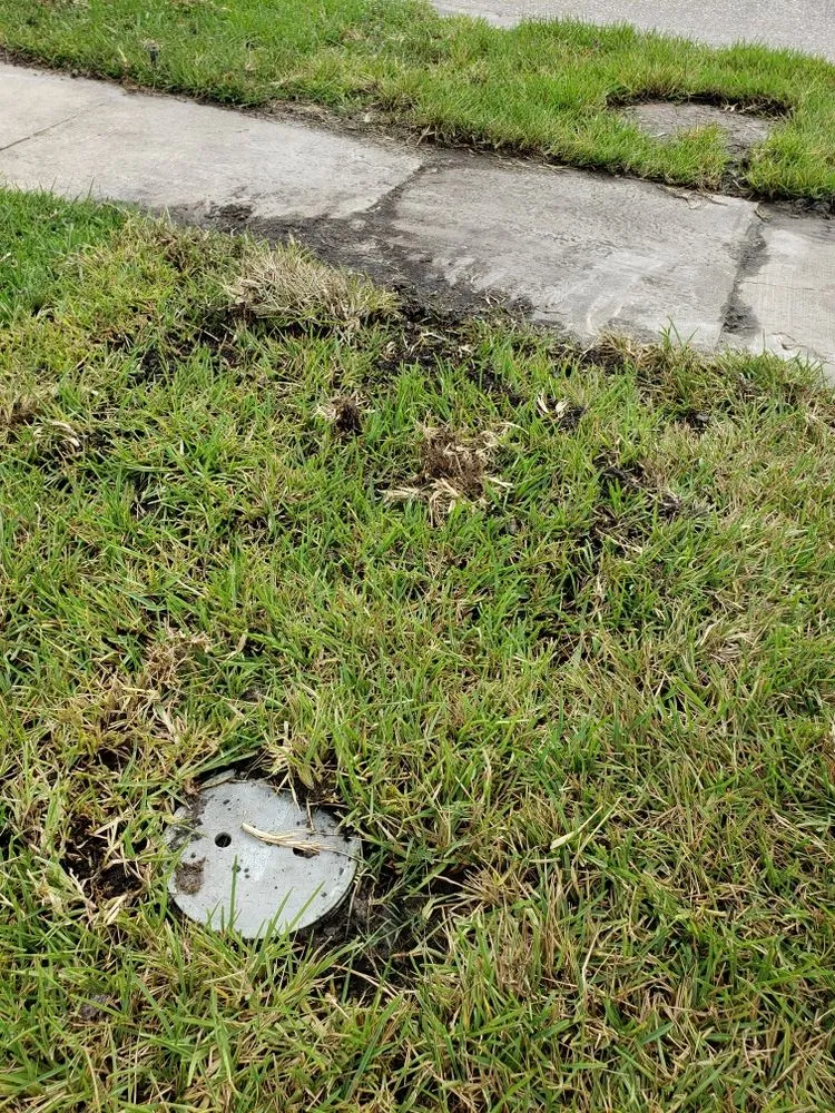 Custom residential landscaping in Land O Lakes, FL by Green Guru