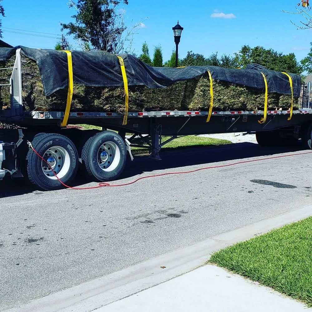 Expert yard cleanup service in Land O Lakes, FL by Green Guru