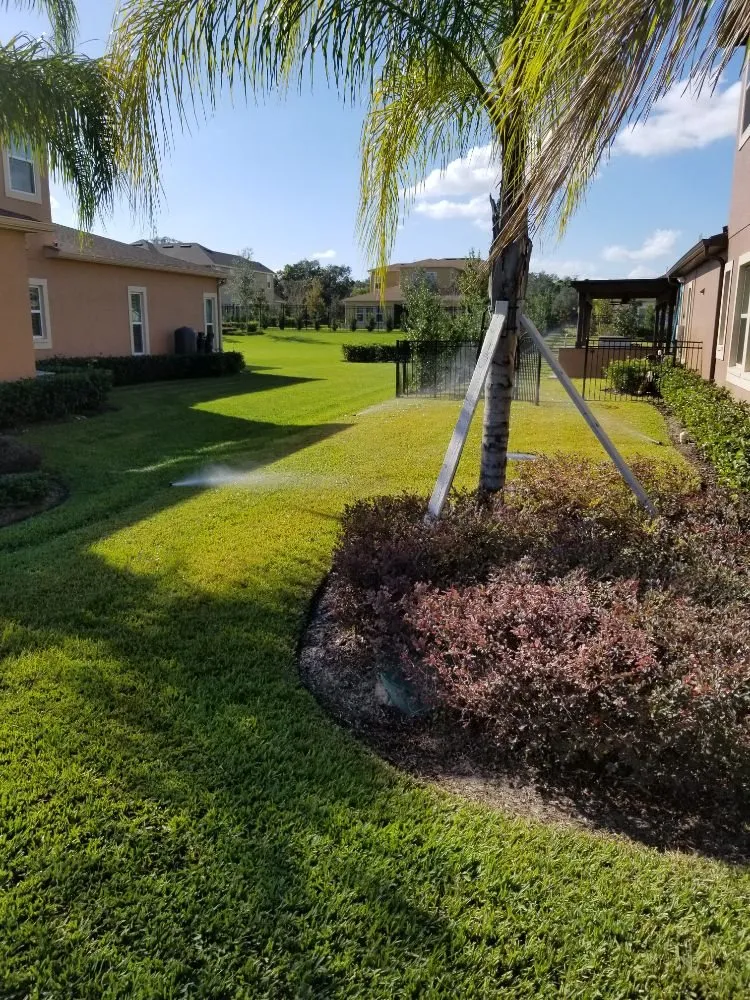 Expert garden landscaping for homes across Land O Lakes, FL - Green Guru