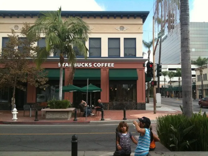 Custom yard maintenance in Land O Lakes, FL by Green Guru