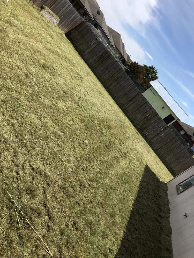 Affordable yard maintenance experts serving Killeen, TX - Green Guy Lawn Service
