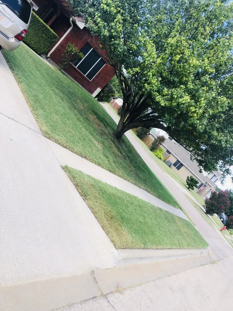 Professional landscape design in Killeen, TX - Green Guy Lawn Service