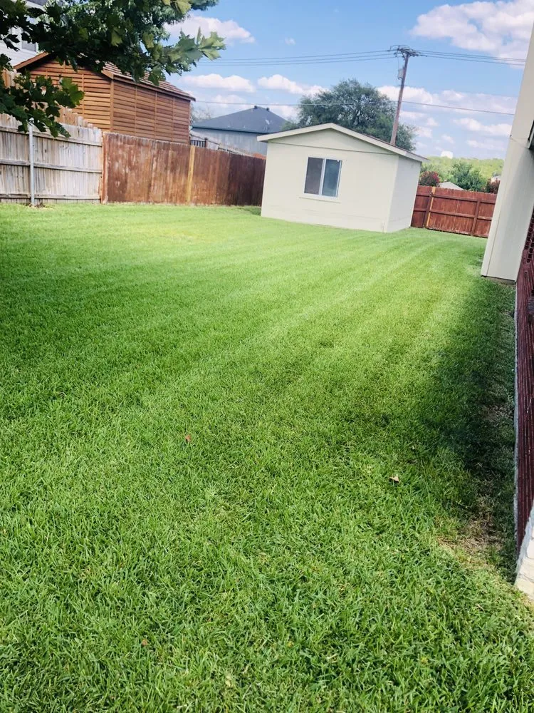 Affordable residential landscaping in Killeen, TX - Green Guy Lawn Service