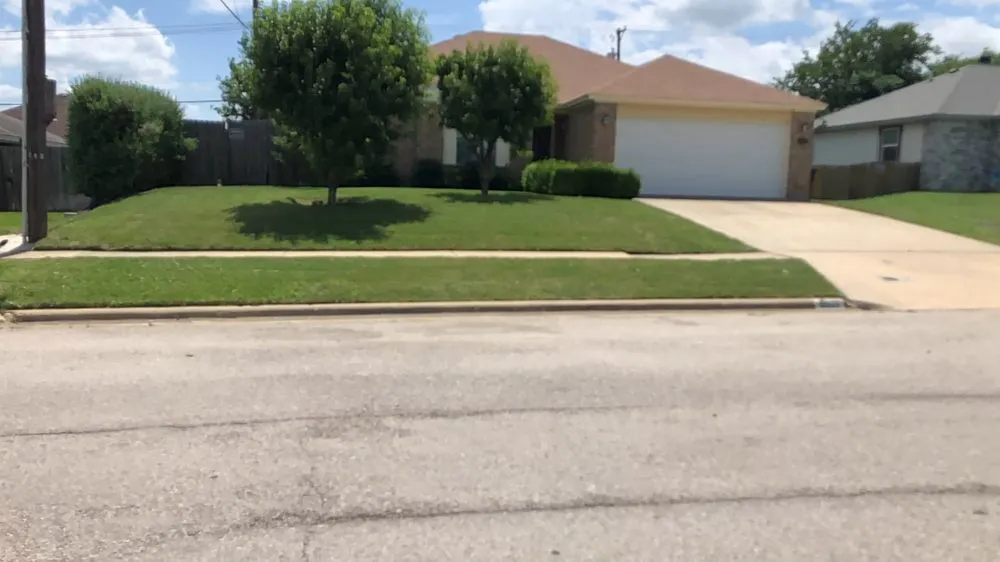 Reliable garden landscaping in Killeen, TX by Green Guy Lawn Service