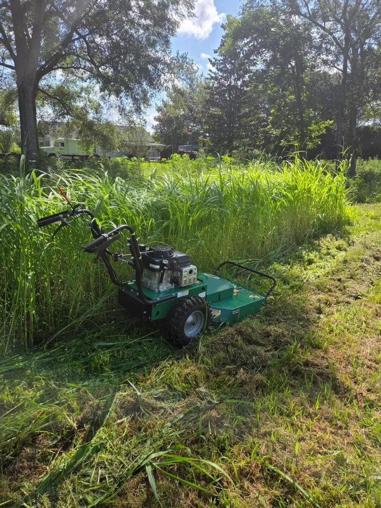 Custom yard cleanup service for homes in Opelousas, LA by Green Guy Lawn Service