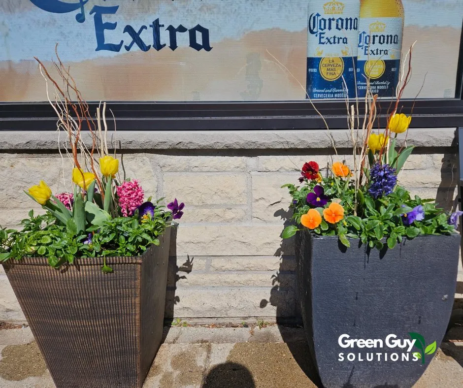 Top-rated outdoor landscaping in Grafton, WI by Green Guy Solutions