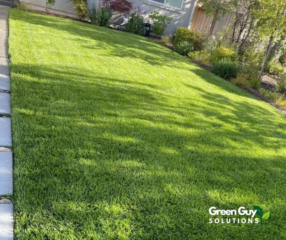 Professional landscape installation experts serving Grafton, WI - Green Guy Solutions