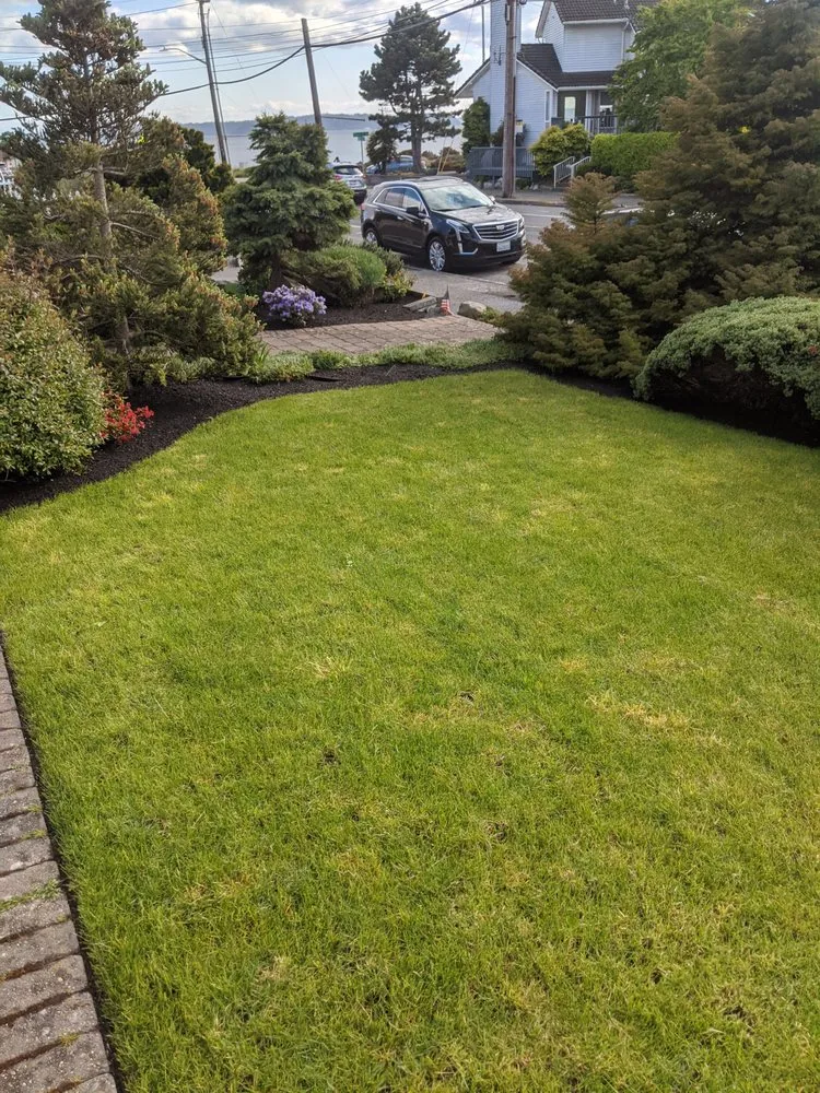 Expert yard cleanup service for homes across Seattle, WA - Green Guys - Seattle
