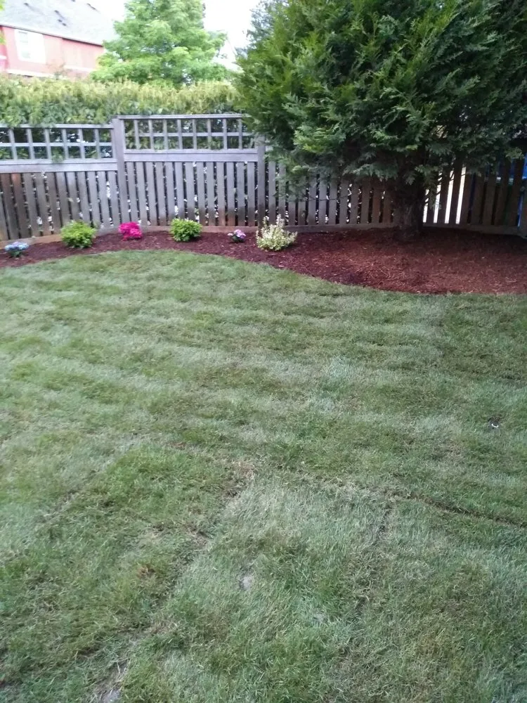 Local lawn care service in Seattle, WA - Green Guys - Seattle