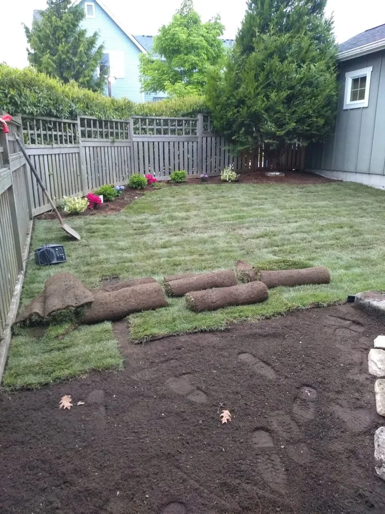 Trusted landscape design experts serving Seattle, WA - Green Guys - Seattle