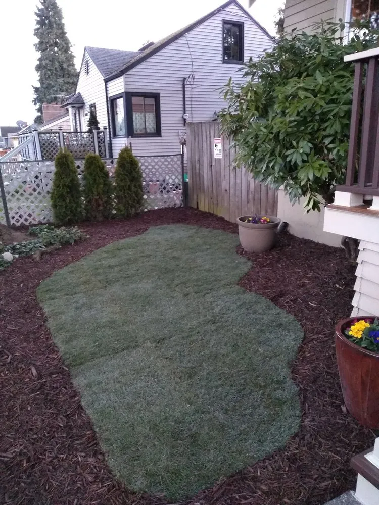 Local landscape design for beautiful yards across Seattle, WA - Green Guys - Seattle