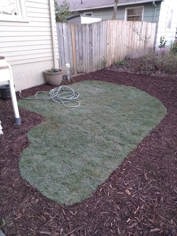 Affordable lawn mowing service near you across Seattle, WA - Green Guys - Seattle