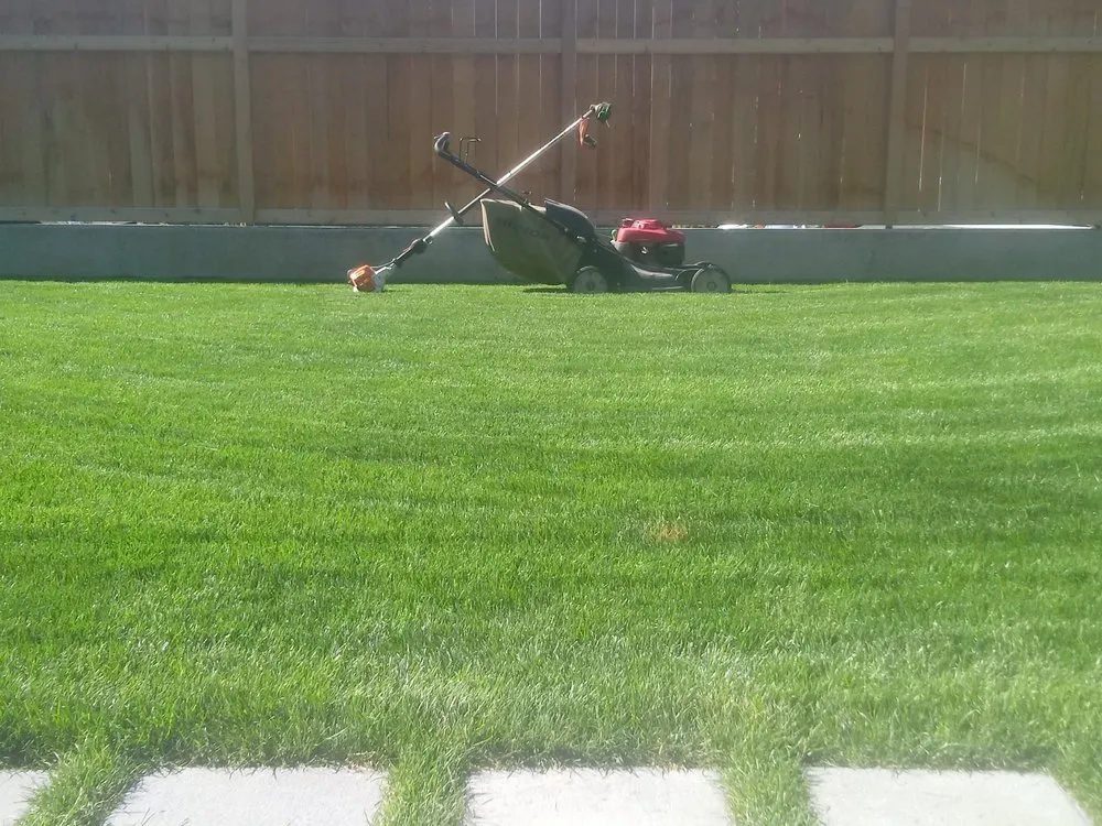 Top-rated lawn care service experts serving Seattle, WA - Green Guys - Seattle