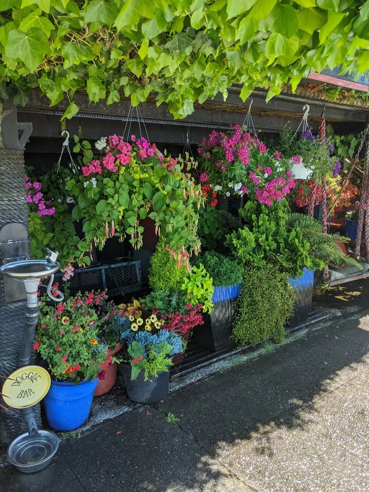 Affordable yard maintenance in Seattle, WA - Green Guys - Seattle