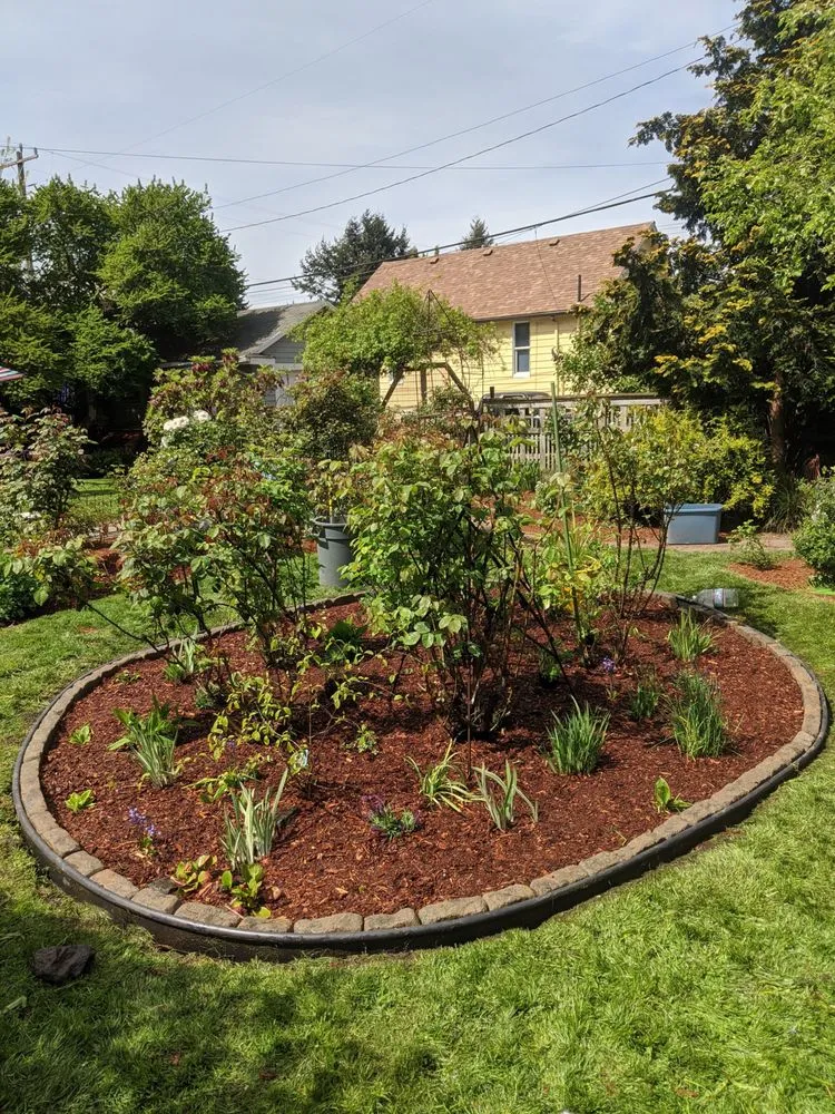 Trusted residential landscaping in Seattle, WA by Green Guys - Seattle