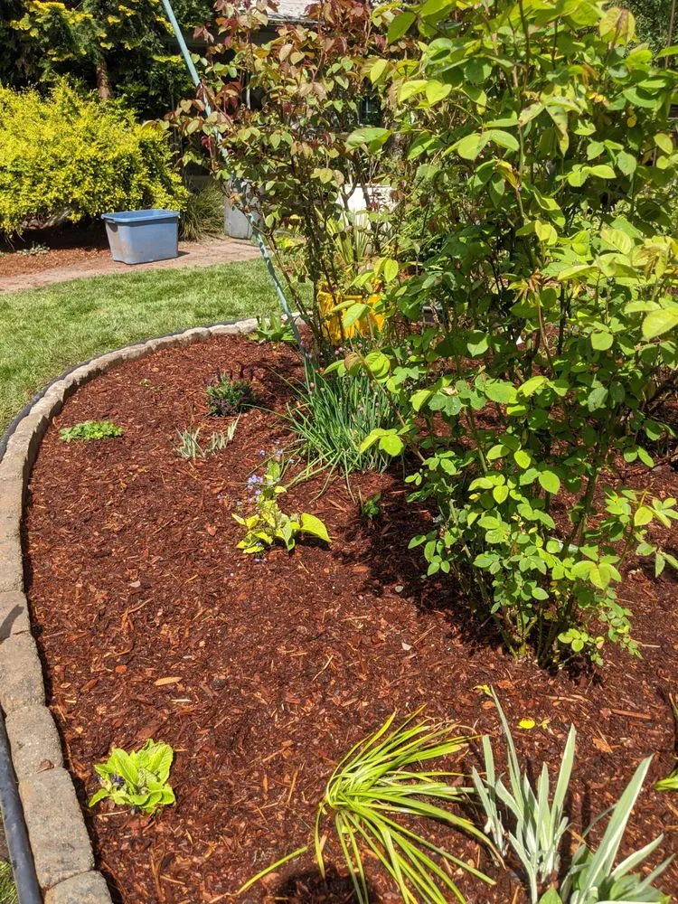 Affordable landscape design in Seattle, WA - Green Guys - Seattle
