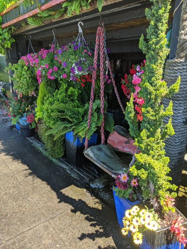 Affordable landscaping services in Seattle, WA - Green Guys - Seattle