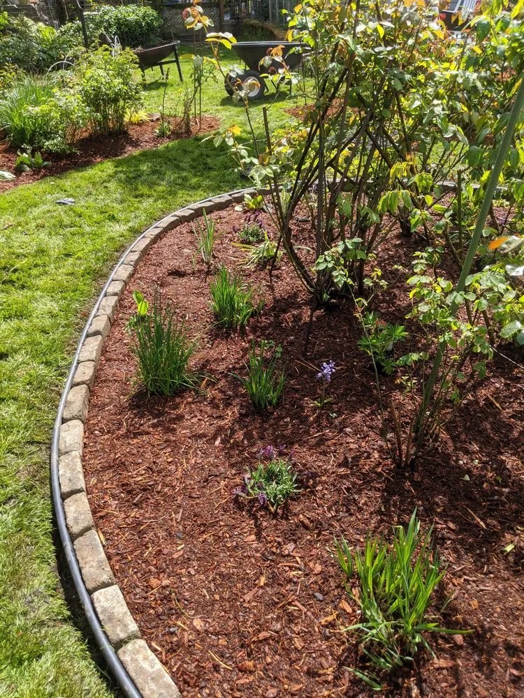 Expert garden landscaping for residential properties across Seattle, WA - Green Guys - Seattle