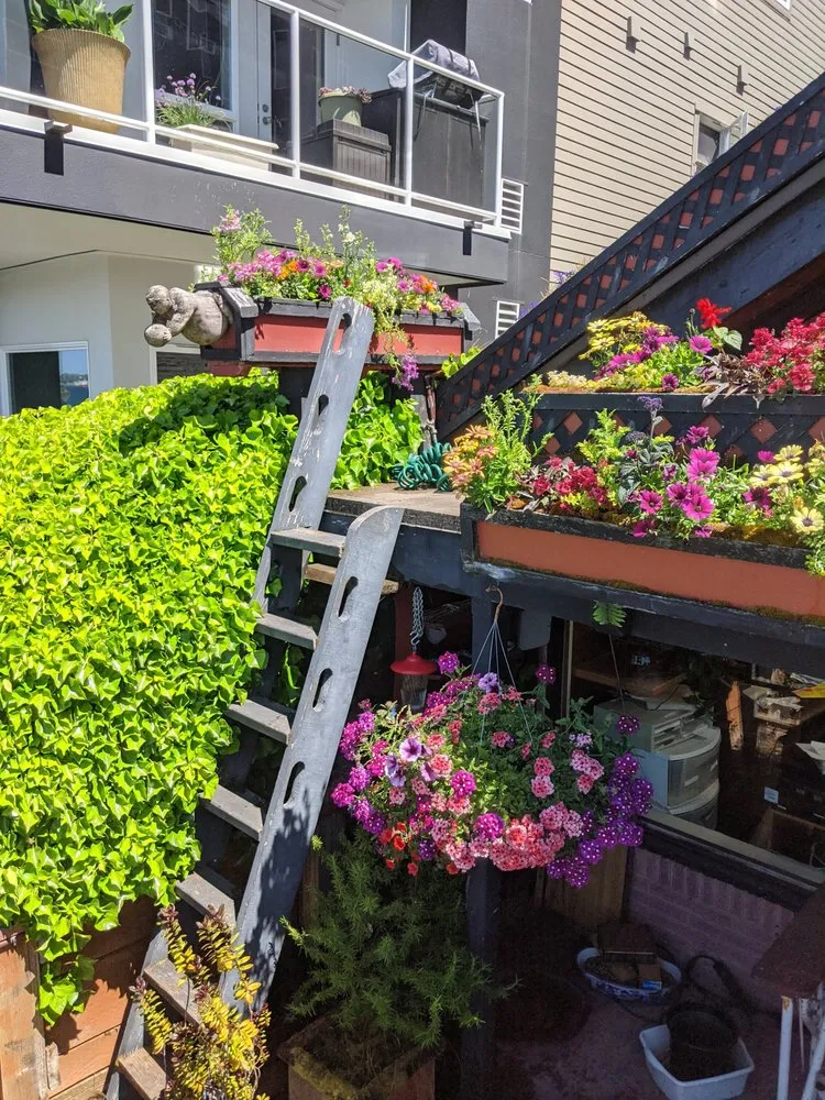 Local landscaping services for beautiful yards across Seattle, WA - Green Guys - Seattle