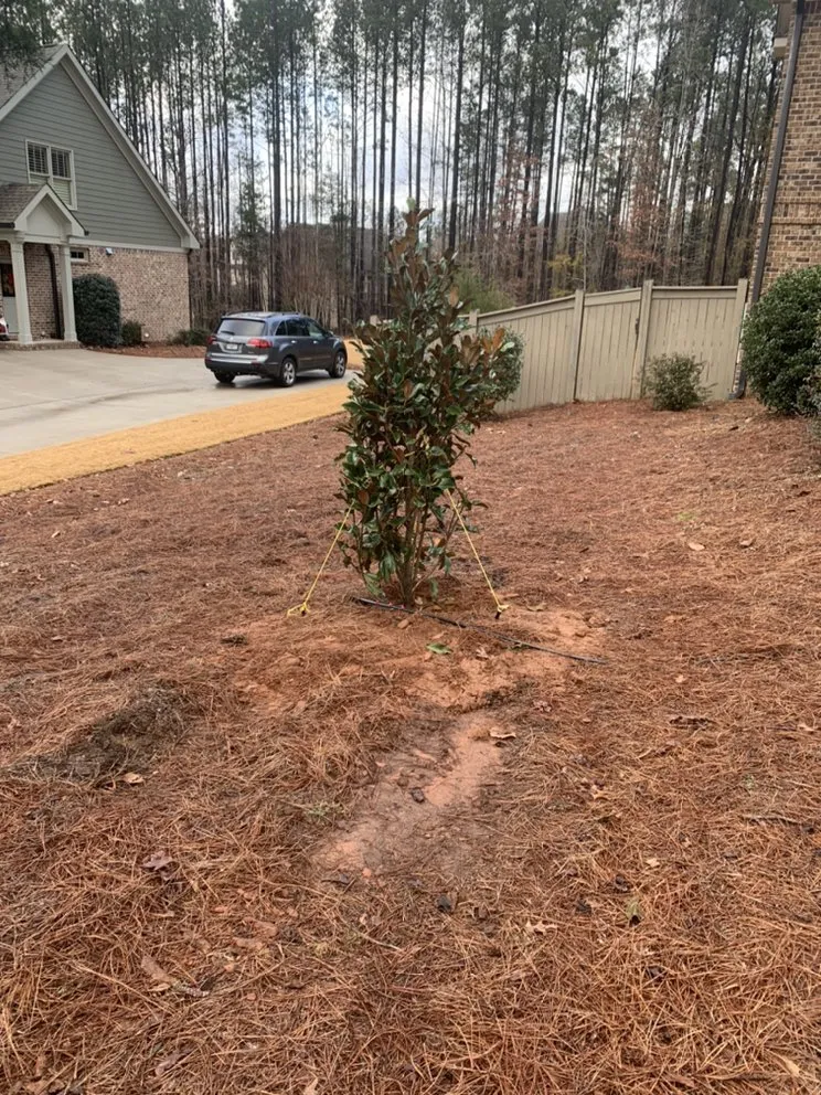 Custom yard maintenance in Athens, GA - Green Guys