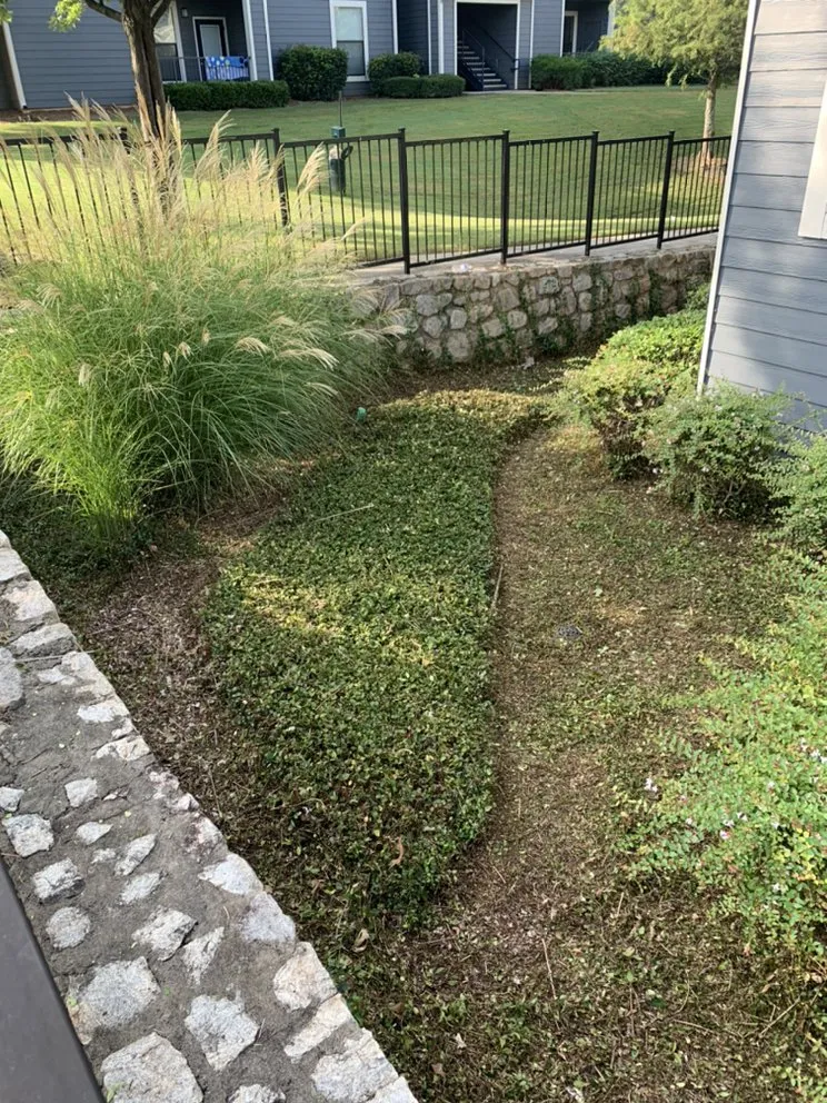 Custom landscape design near you in Athens, GA by Green Guys