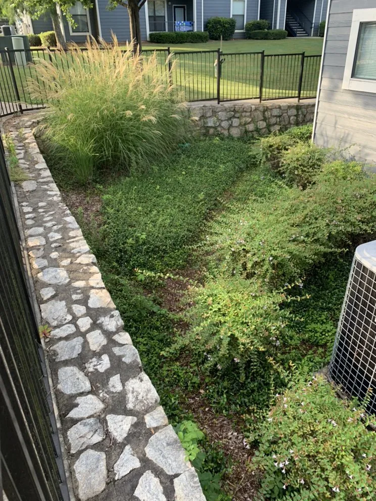 Custom yard cleanup service in Athens, GA - Green Guys