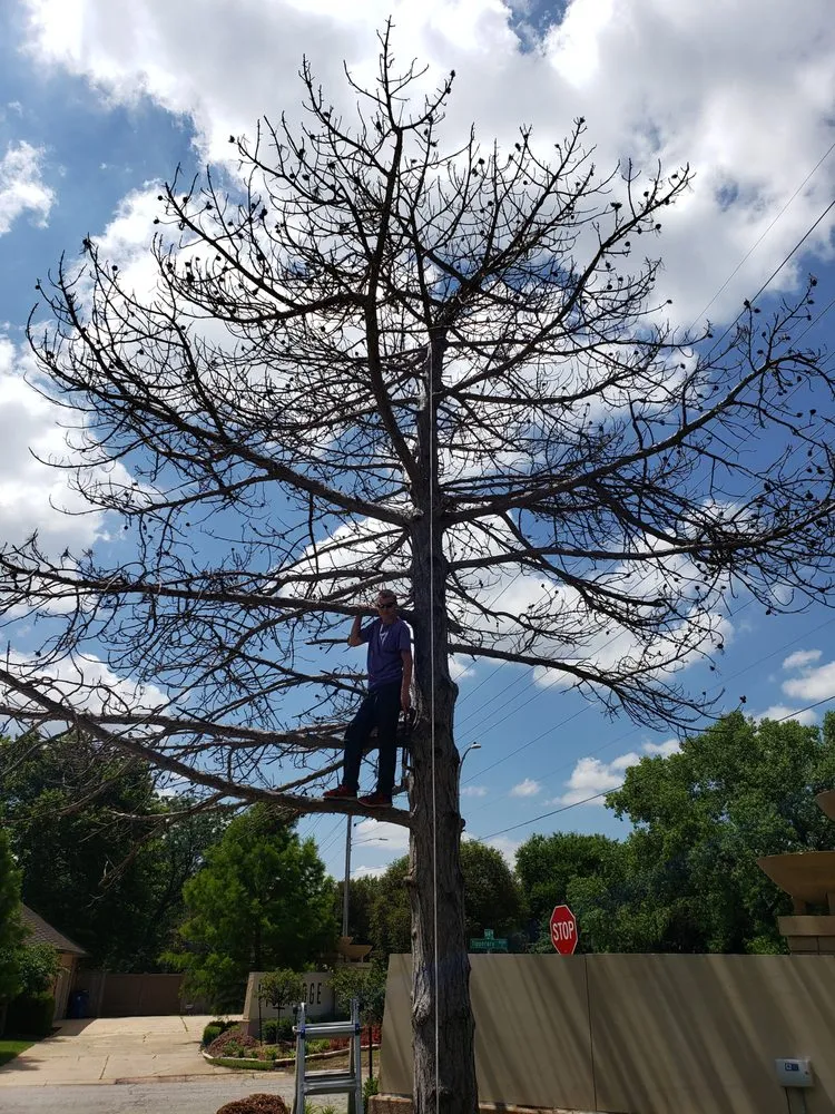 Trusted garden landscaping in Wichita, KS by Green Guys Lawn Service