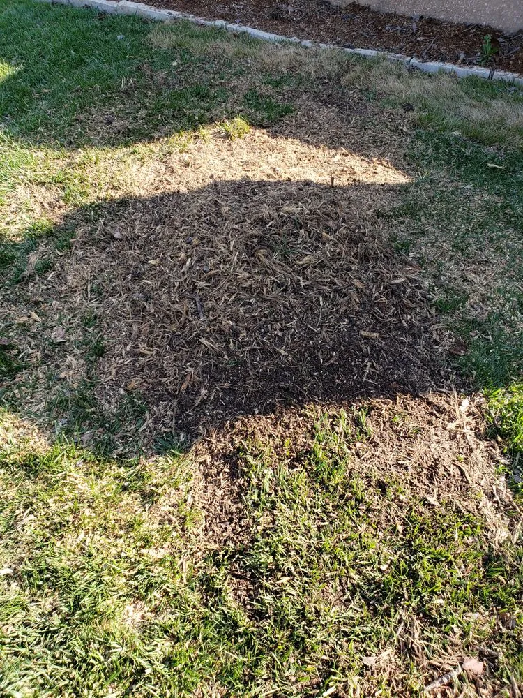 Trusted lawn mowing service in Wichita, KS by Green Guys Lawn Service